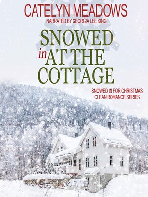 cover image of Snowed In at the Cottage